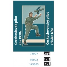 1/48 Czechoslovak Pilot 1930s #2 (3D Printed)