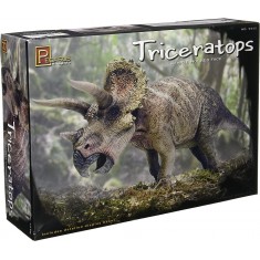 1/24 Triceratops 3 Horned Face Dinosaur