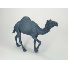 1/35 Walking Dromedary Camel