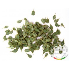 1/35 Green Leaves - Oak