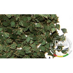 1/35 Green Leaves - Birch