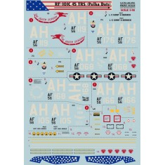 1/48 McDonnell RF-101C TRS "Polka Dots" Decals