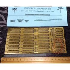 1/48, 1/72, 1/87 Date Palm (H: 125mm)