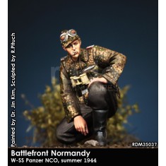 1/35 WSS Panzer NCO, Summer 1944