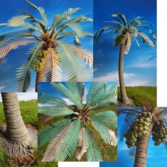 1/35, 1/48, 1/72 Coconut Super Detailed Palm Tree Vol.1