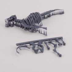 1/35 Cow Skeleton N.3