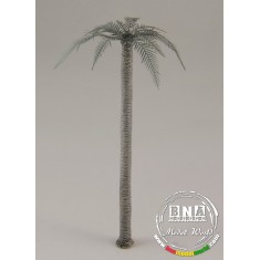 1/72 Palm