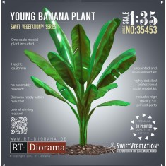 1/35 Young Banana Plant