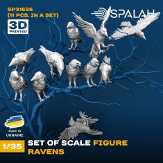 1/35 Ravens (11pcs)