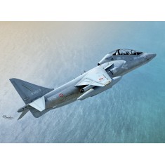1/72 TAV-8B Harrier II with SJU-4 Ejection Seats