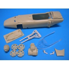 1/25 Early F1 RA272