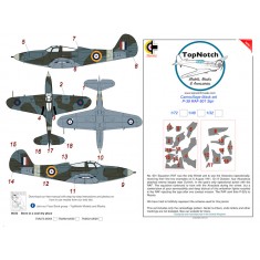 1/72 British P-39 601 sqn RAF Camo Masks
