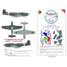 1/32 P-51D Mustang PD-L No 303 (Polish) Camo Masks