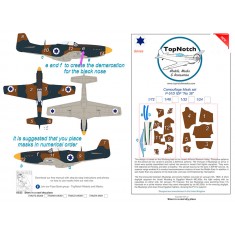 1/48 P-51D IDF "No 38" Camo Masks