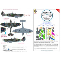 1/32 Spitfire Mk Vb RAF Europe Camo Masks