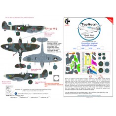 1/32 Spitfire Mk Vb Eagle Camo Masks
