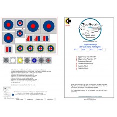 1/24 Late RAF 1942-1945 Insignia Masks