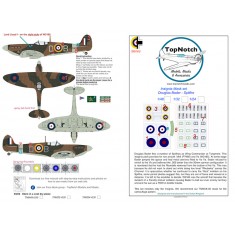 1/24 Douglas Bader - Spitfire Insignia Masks