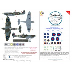 1/24 Spitfire George Beurling VZ-B Insignia Masks