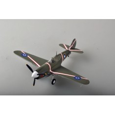 1/48 P-40M Assembled and Painted Plastic Kit
