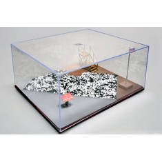 Sand Table Show Case for Display (Length: 316mm, Width: 276mm, Height: 136mm)