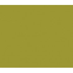 Model Colour - Metallic Gold (Metals in Alcohol Base) 35ml