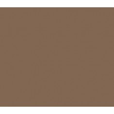 Model Colour Acrylic Paint - German Camouflage Pale Brown 17ml