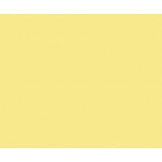 Model Colour Acrylic Paint - Ice Yellow 17ml
