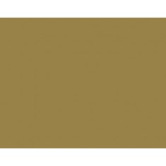 Model Colour Acrylic Paint - Old Gold 17ml