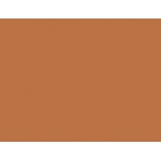 Model Colour Acrylic Paint - Light Brown 17ml