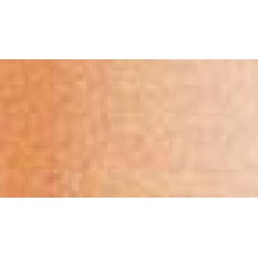 Model Colour Acrylic Paint - Transparent Orange 17ml