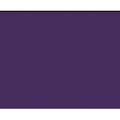 Model Colour Acrylic Paint - Violet 17ml