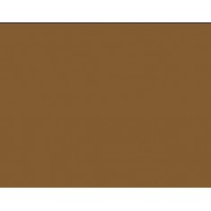 Model Colour Acrylic Paint - Flat Earth 17ml