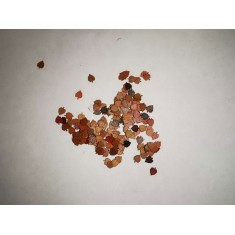 1/72 Linden Leaves - Autumn Ver.A (200pcs)