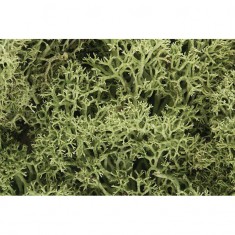 Ground Cover - Lichen #Spring Green (coverage area = 86.6 in3 / 1410cm3)