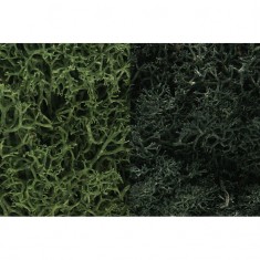 Ground Cover - Lichen #Dark Green Mix (coverage area = 86.6 in3 / 2830cm3)