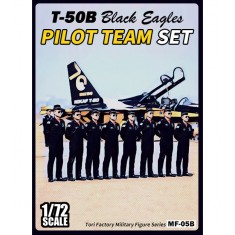 1/72 ROK Black Eagles Pilots set (8 Figures)