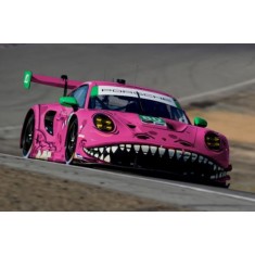 1/24 Porsche 911 AO Racing Roxy T-Rex 2023 Decal