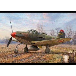 1/144 Bell P-39 Airacobra Red Stars 1/144 Bell P-39 Airacobra Red Stars