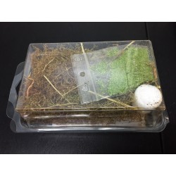 Twigs with Leaves for All Scales Twigs with Leaves for All Scales