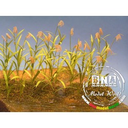 1/35 Reed Canary Grass - Paper Plant kit 1/35 Reed Canary Grass - Paper Plant kit