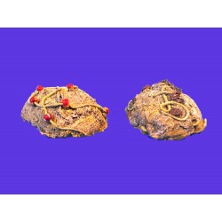 1/35 Fishing Nets 1/35 Fishing Nets