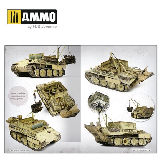 Panthers - Modelling the TAKOM Family (English, 208 pages)