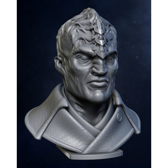 1/10 Klingon Warrior Bust