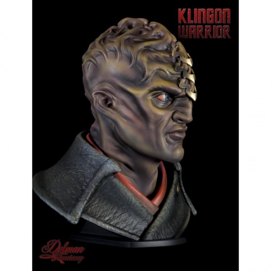 1/10 Klingon Warrior Bust