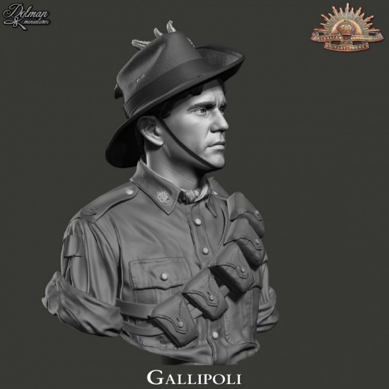1/10 Gallipoli.Bust