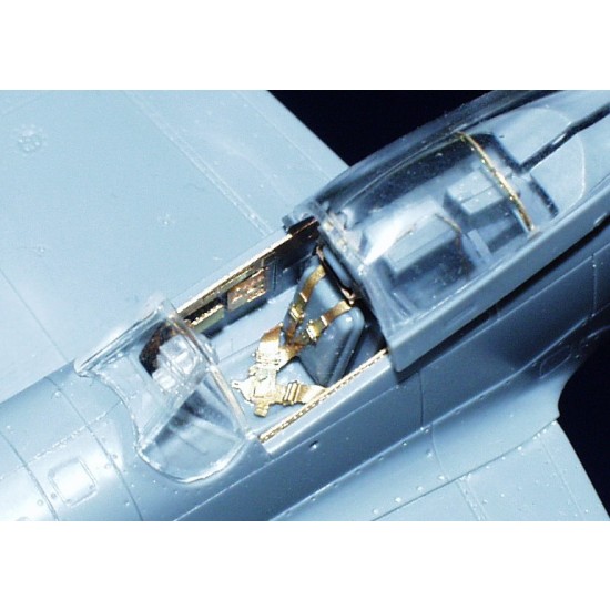 Colour Photoetch for 1/72 P-51D Mustang for Tamiya kit Colour Photoetch for 1/72 P-51D Mustang for Tamiya kit