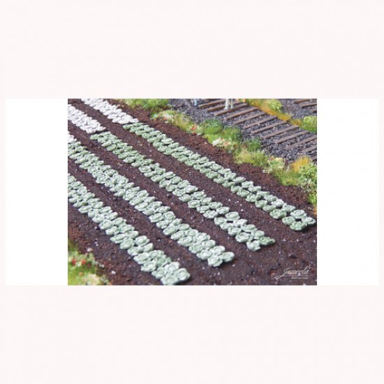 1/87 (HO scale) Green Cabbage Plants (220pcs)