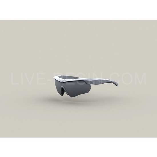 1/35 ESS Crossbow goggles Ballistic Eyeshields - ESS Eye Pro (transparent resin) 1/35 ESS Crossbow goggles Ballistic Eyeshields - ESS Eye Pro (transparent resin)