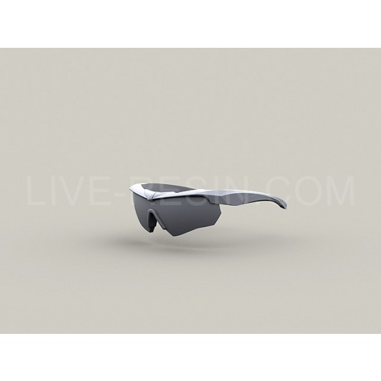 1/35 ESS Crossbow goggles Ballistic Eyeshields - ESS Eye Pro (transparent resin)
